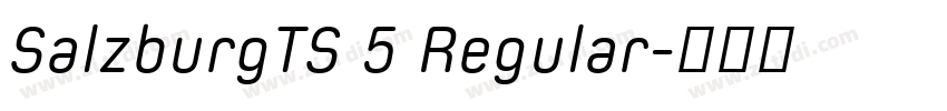 SalzburgTS 5 Regular字体转换